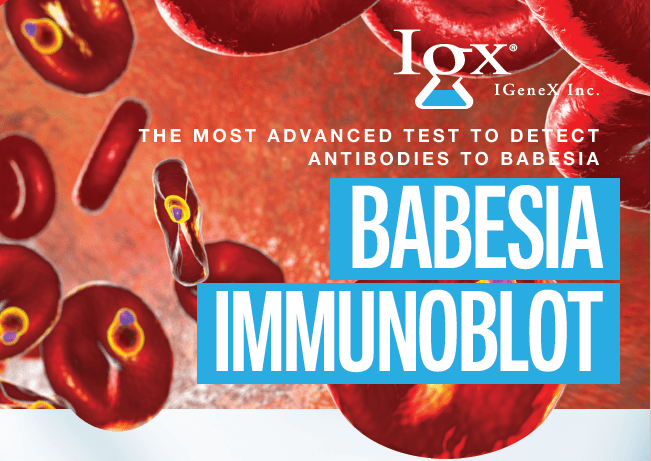 babesia-immunoblot-test