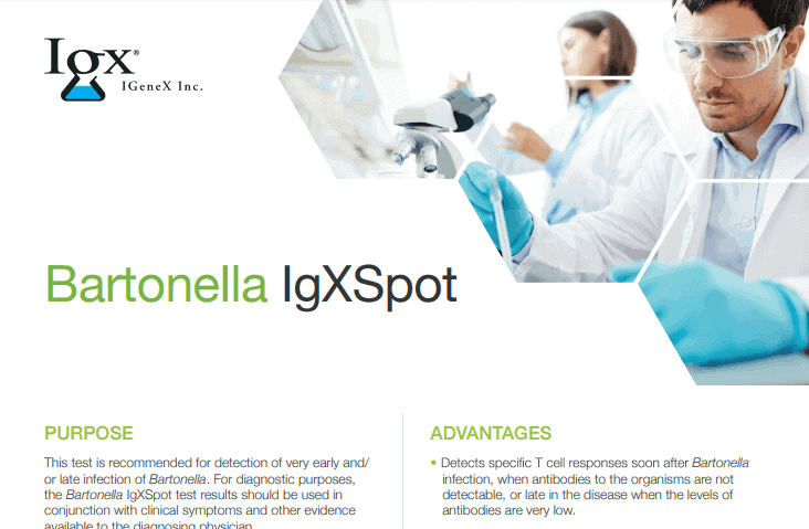 bartonella-igxspot.png