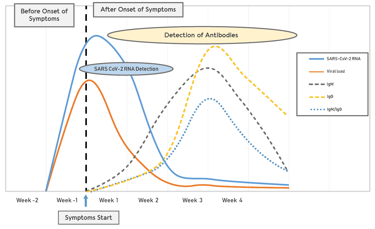 covid-19-chart-antibodies