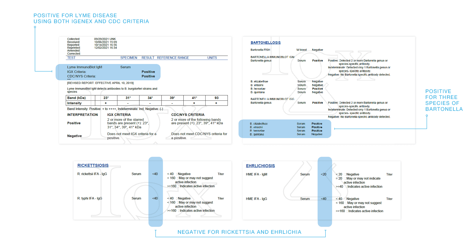 igenex-test-results-h1