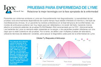 resource-center-pruebas-para-enfermedad-de-lyme.jpg